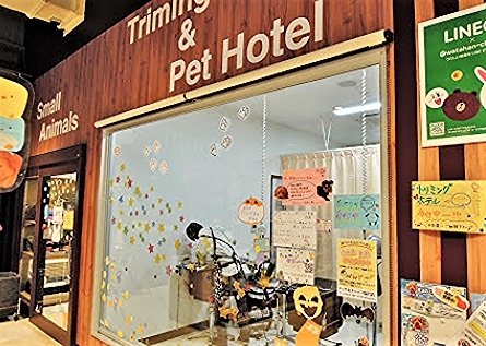 ドッグ＆キャッツ塩尻店