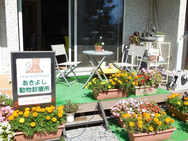 あきよし動物病院